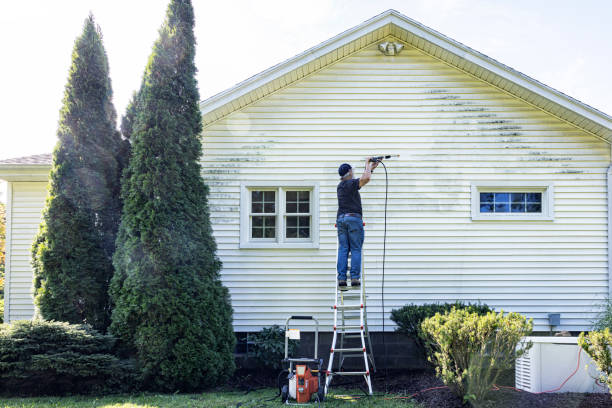 Best Commercial Building Pressure Washing  in Princeton, TX